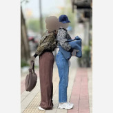 بامبر پلنگی زنانه جنس گلیمی فری سایز در رنگ بندی سرمه ای، قرمز، سبز و صورتی